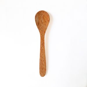 Coconut Wooden Spatula 