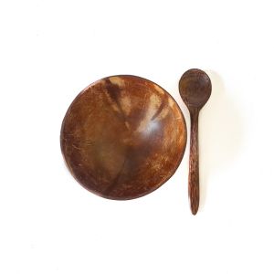 Coconut Bowl and Wooden Spoon